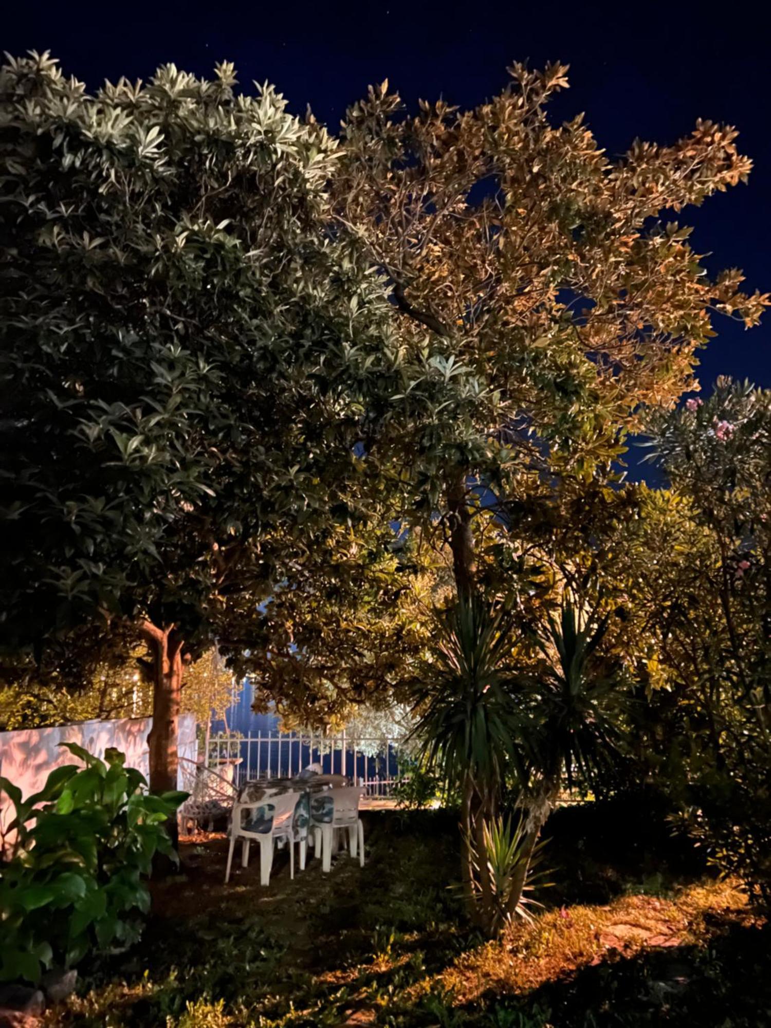 Lemon Tree Villa Kotor Buitenkant foto