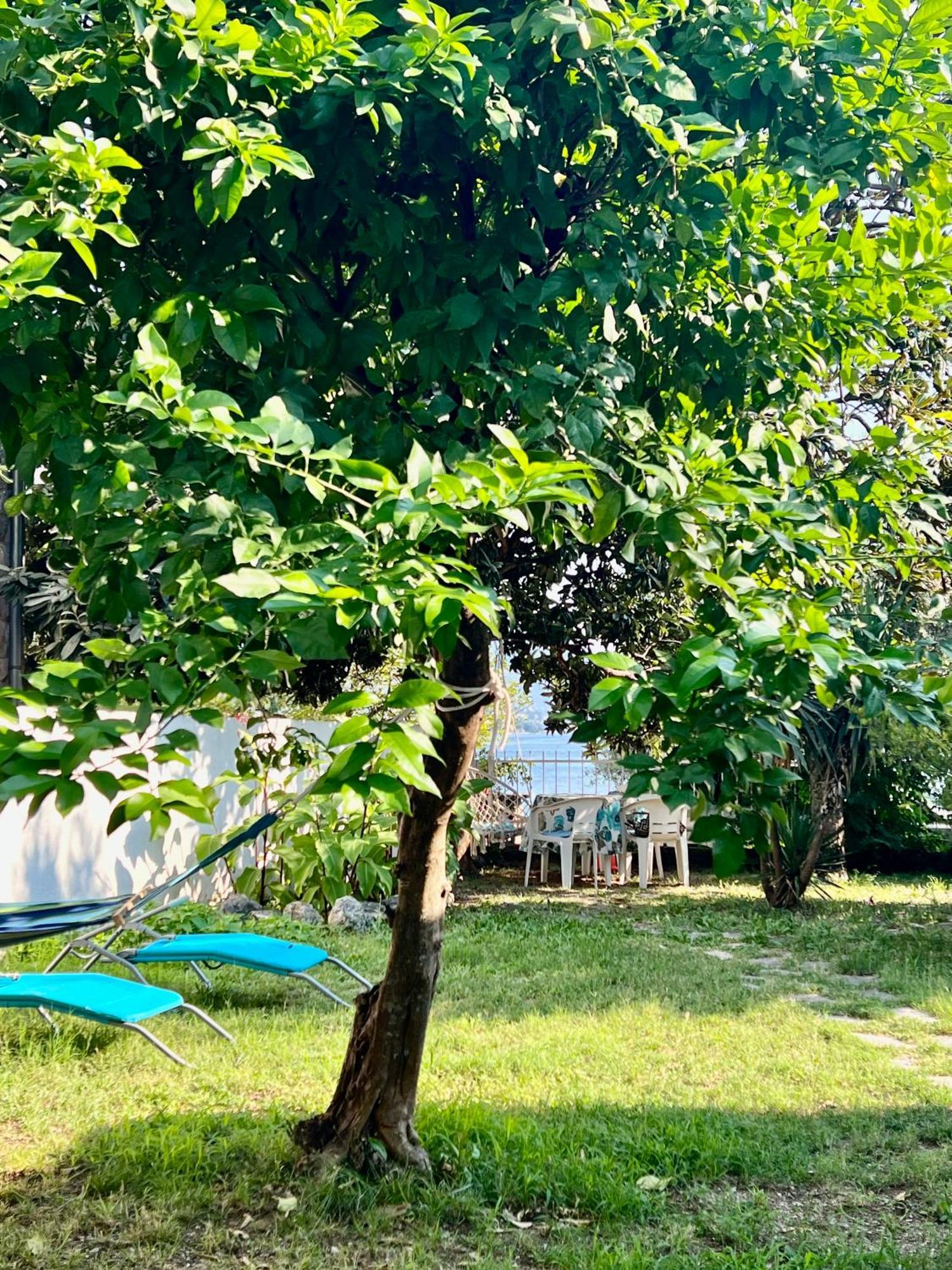 Lemon Tree Villa Kotor Buitenkant foto
