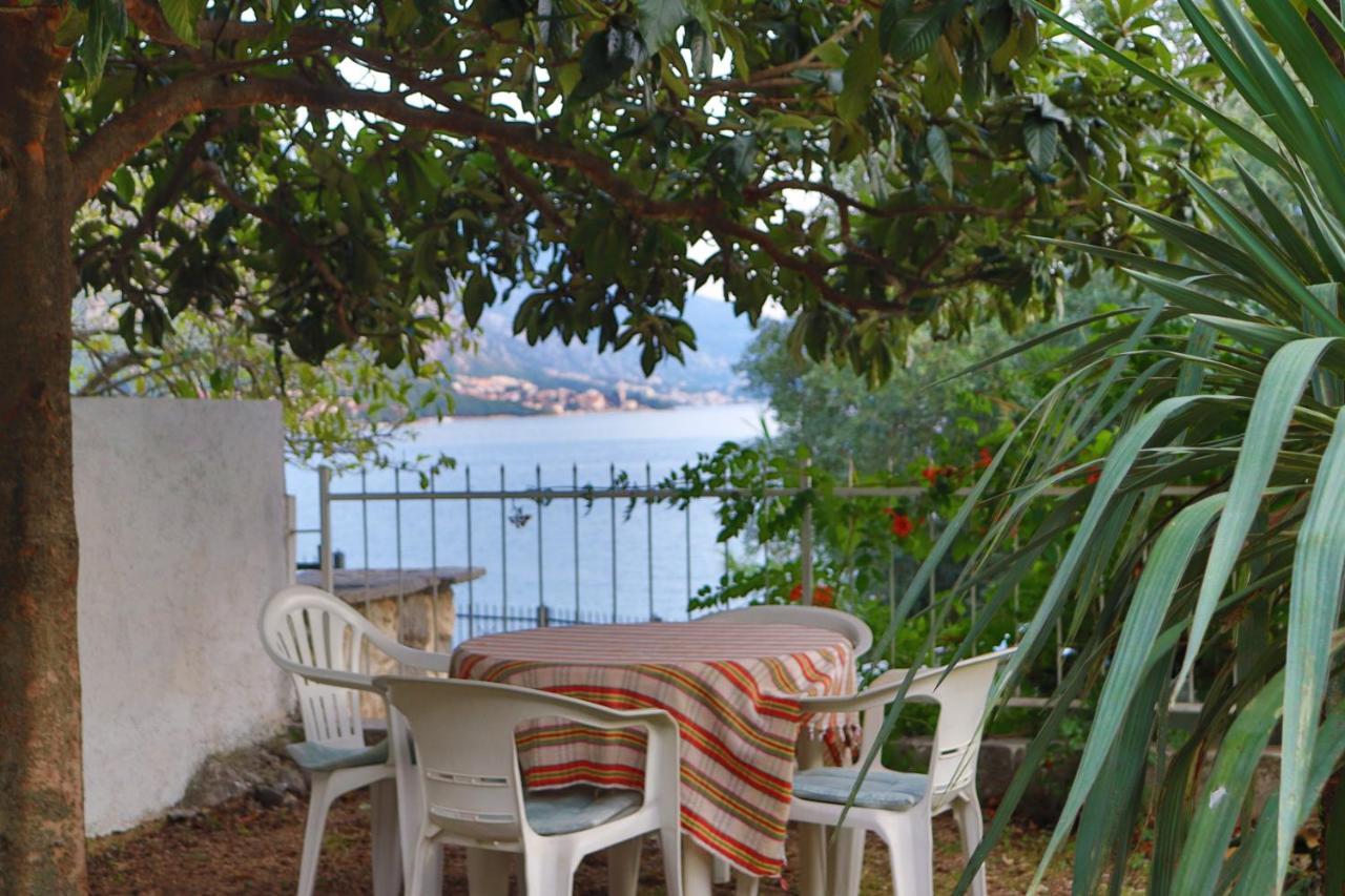 Lemon Tree Villa Kotor Buitenkant foto